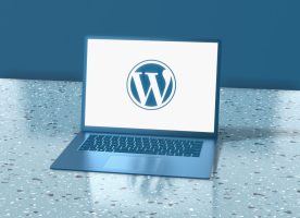 WordPress Caching Plugins